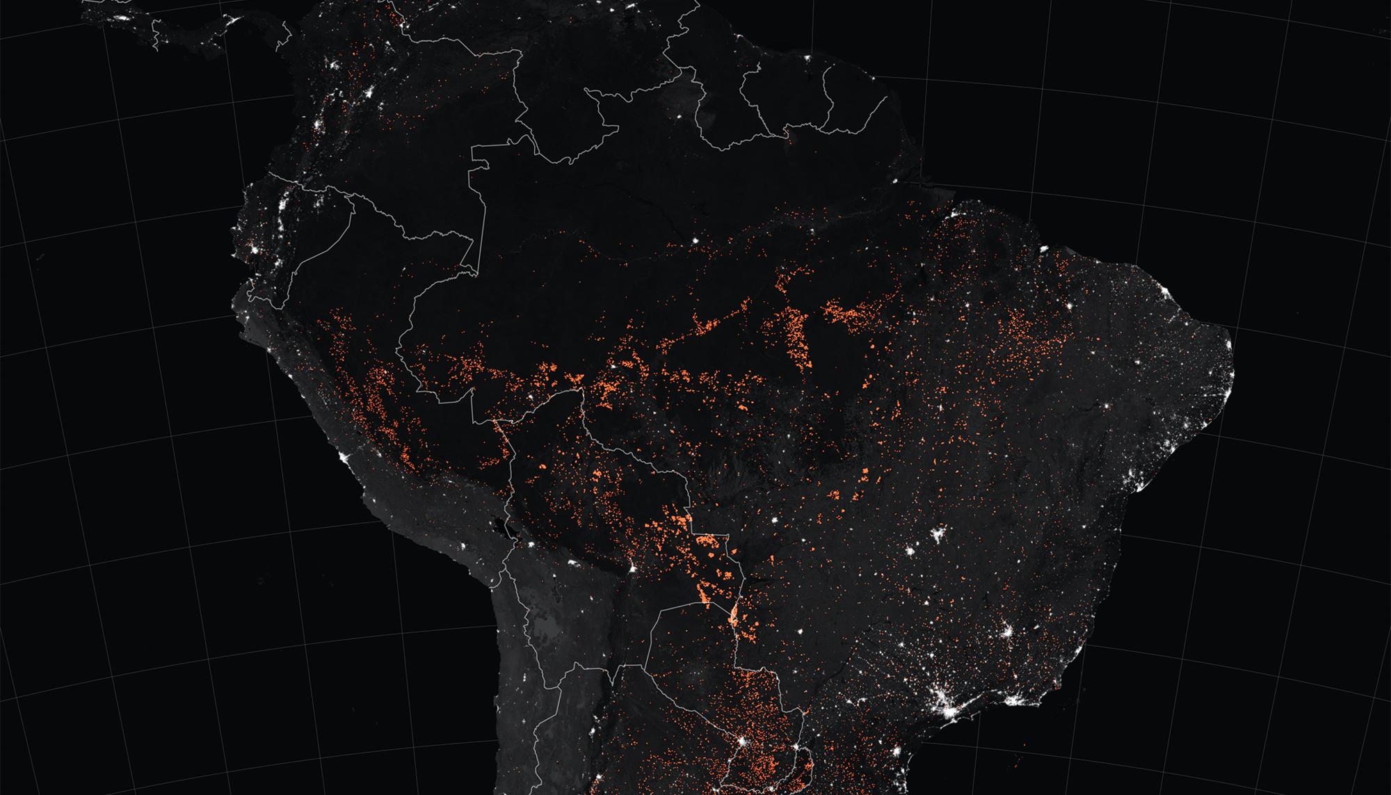 Fuegos en la amazonia